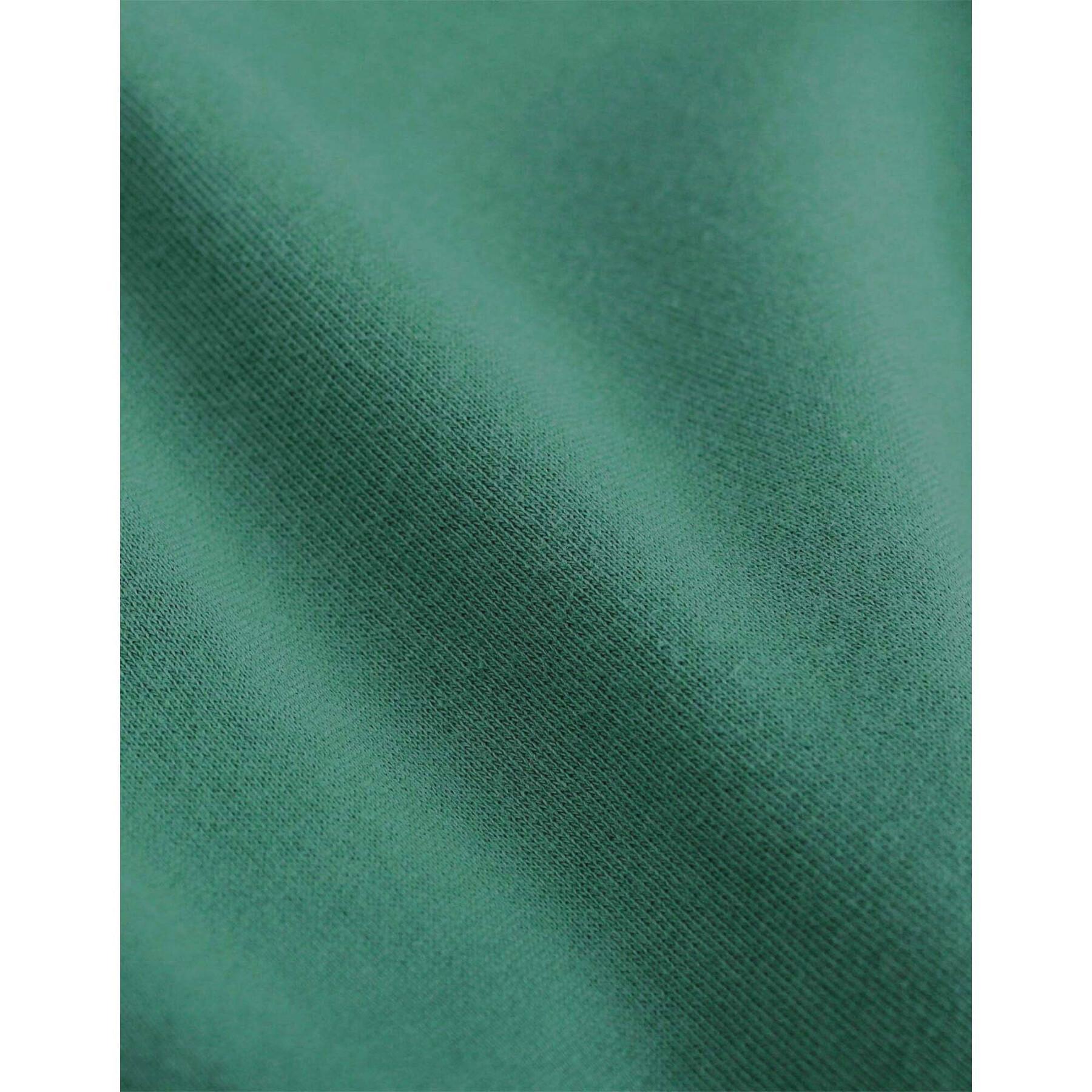 Camisola com capuz Colorful Standard Classic Organic Pine Green