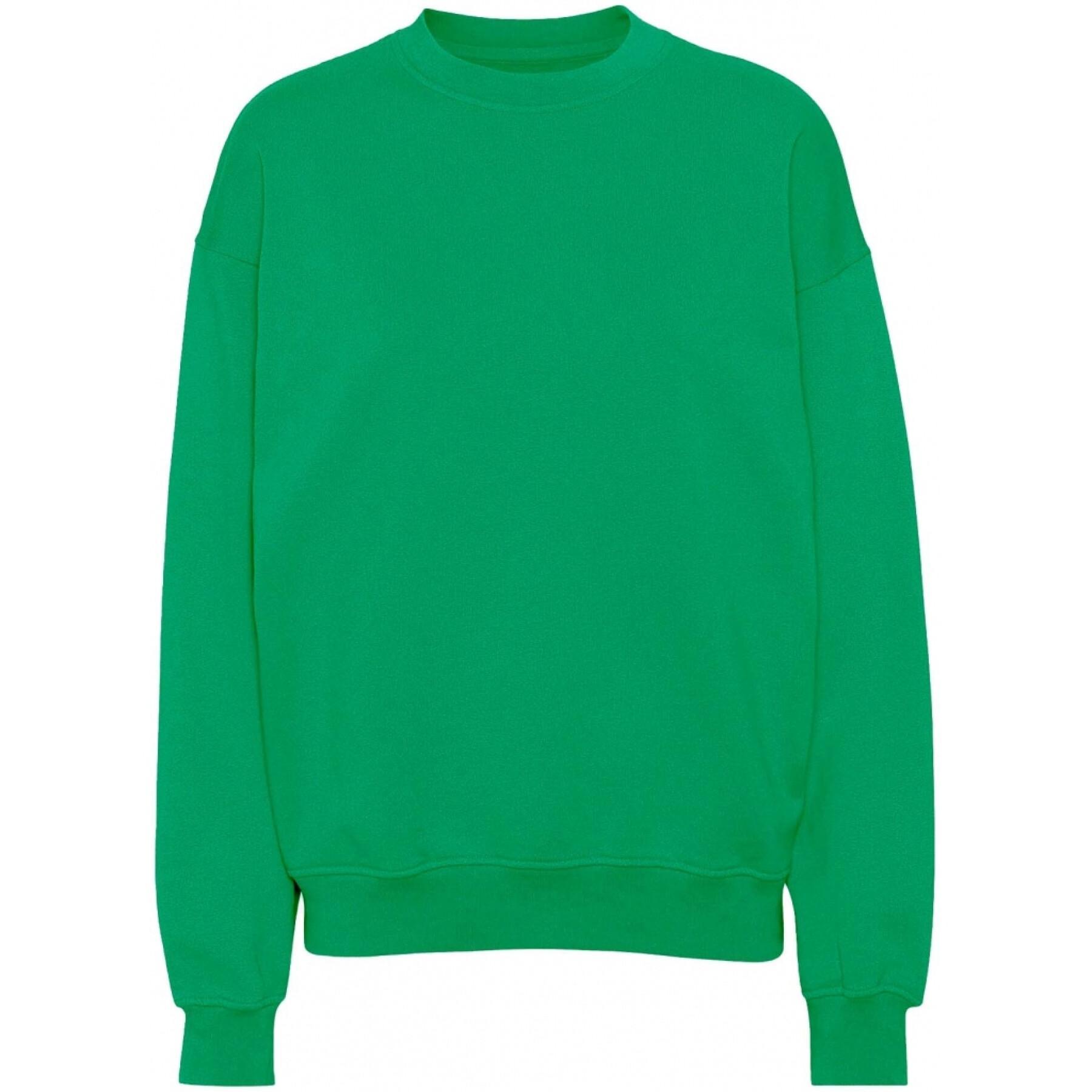Sweatshirt pescoço redondo Colorful Standard Organic oversized kelly green