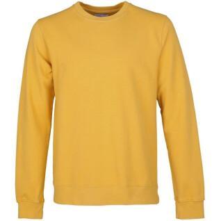 Sweatshirt pescoço redondo Colorful Standard Classic Organic burned yellow