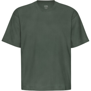 T-shirt sobredimensionada Colorful Standard Organic Midnight Forest