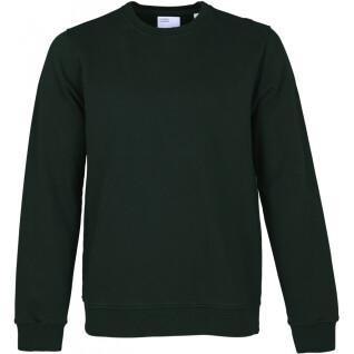 Sweatshirt pescoço redondo Colorful Standard Classic Organic hunter green