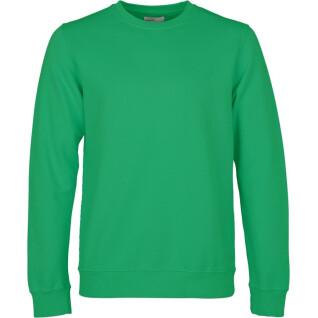 Sweatshirt pescoço redondo Colorful Standard Classic Organic kelly green
