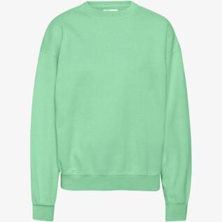 Sweatshirt pescoço redondo Colorful Standard Organic oversized faded mint