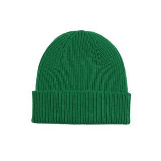Chapéu de lã Colorful Standard Merino kelly green
