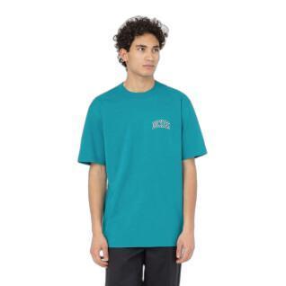 T-shirt Dickies Aitkin Chest
