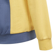Camisola com capuz para criança adidas Essentials Colorblock
