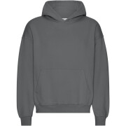 Sweatshirt com capuz de grandes dimensões Colorful Standard Organic Lava Grey