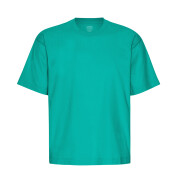 T-shirt sobredimensionada Colorful Standard Organic