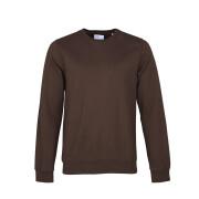 Sweatshirt pescoço redondo Colorful Standard Classic Organic coffee brown