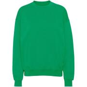 Sweatshirt pescoço redondo Colorful Standard Organic oversized kelly green